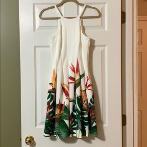 Calvin Klein knit dress. Size 2